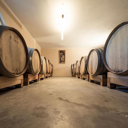 Private winery - Winery Doná
