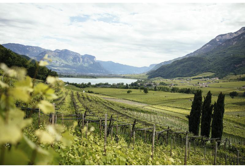 "Gretl am See" Lago di Caldaro