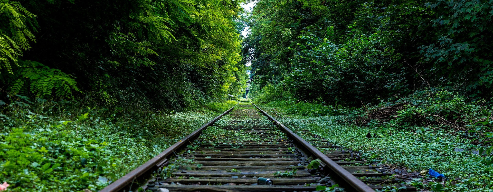 Viaggiare in modo sostenibile