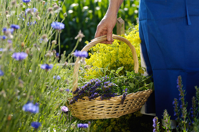 Marchio dell'agricoltore